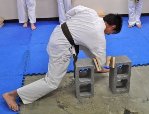 Knox student Nicholas Cheng, 1st Kyu, performs a knifehand board break