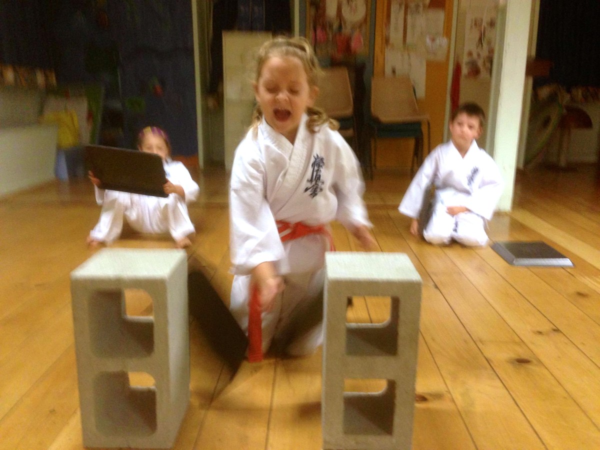 Little Lions Board Breaking – April 30,&nbsp;2013