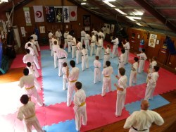 Basics training led by Shihan Howard Lipman