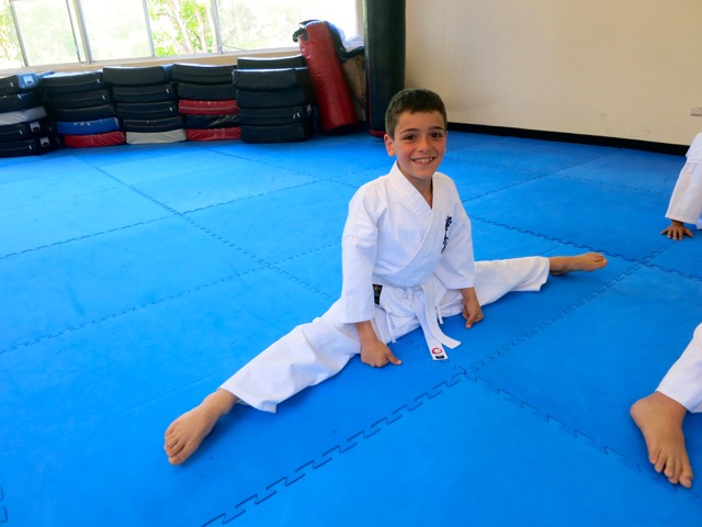 Knox Karate Grading – November 8,&nbsp;2014