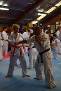 Sempai Rob (Queensland) & Lauren (Ballina Dojo) work together on new bunkai.
